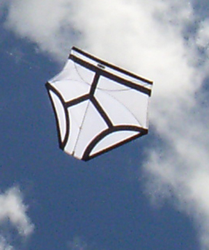 Kites by Karl
